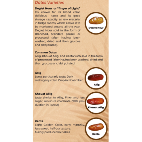TUNISIAN DATES
