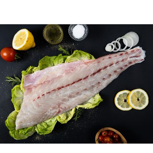 Meagre Fillet