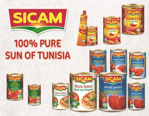CATALOG SICAM