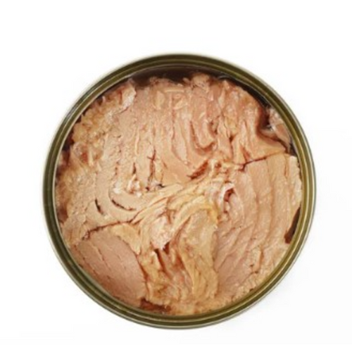 CANNED TUNA SOLID