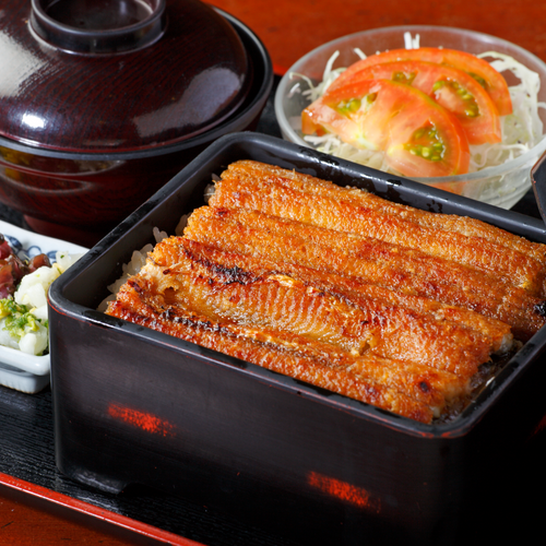 Frozen roasted eel（unagi kabayaki）