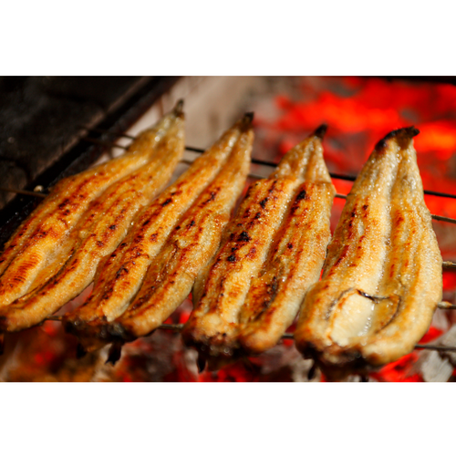 Frozen roasted eel（unagi kabayaki）