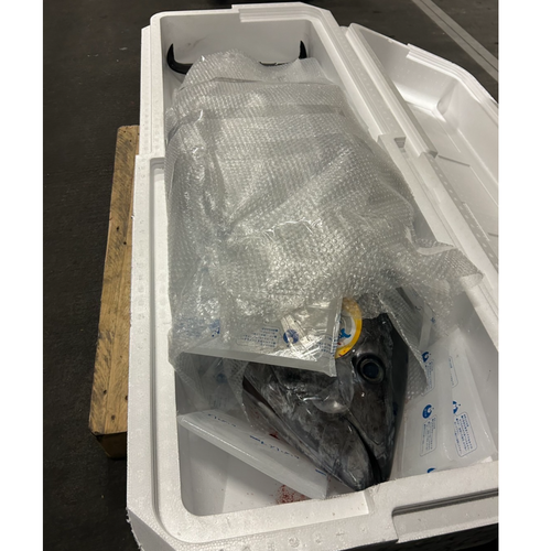 Chilled Farmed Bluefin Tuna Round (Around 80 kg)