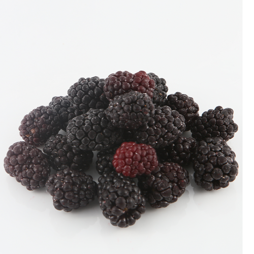 IQF blackberry
