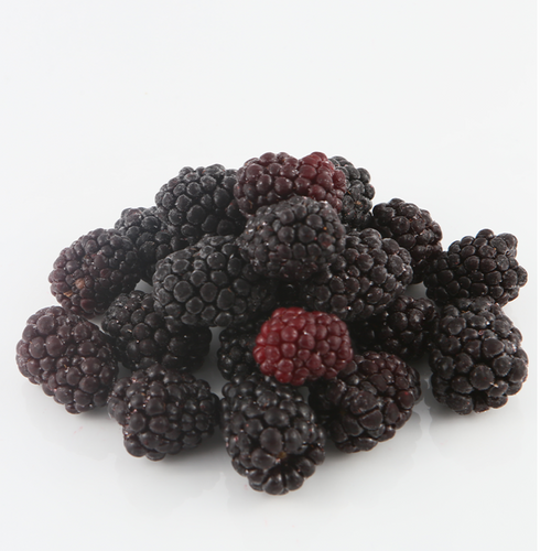 IQF blackberry
