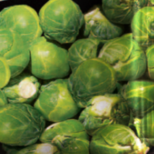 Brussel sprouts