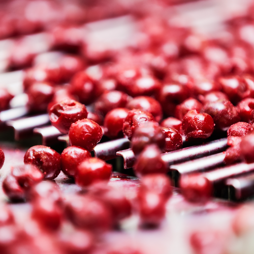 Organic frozen fruits