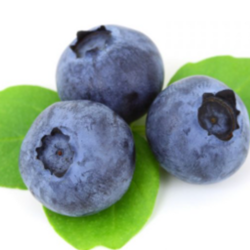 IQF forest blueberry
