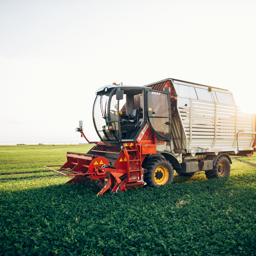 Dried vegetables and herbs