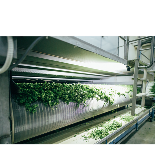 Dried vegetables and herbs