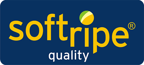 Softripe Presentation