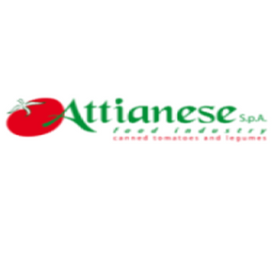 Attianese S.P.A