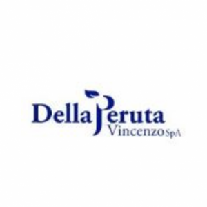 Della Peruta Vincenzo S.p.A
