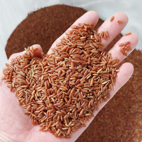 Red Rice