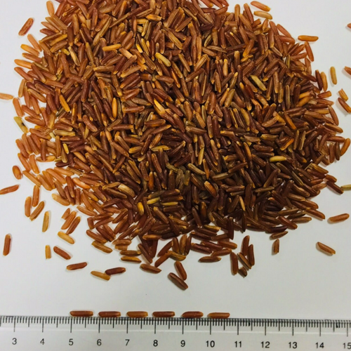 Red Rice