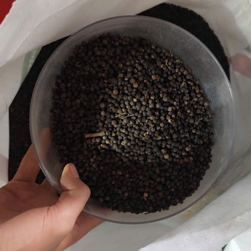 Black pepper 500gl/550gl/ 570gl/ 580gl/5mm