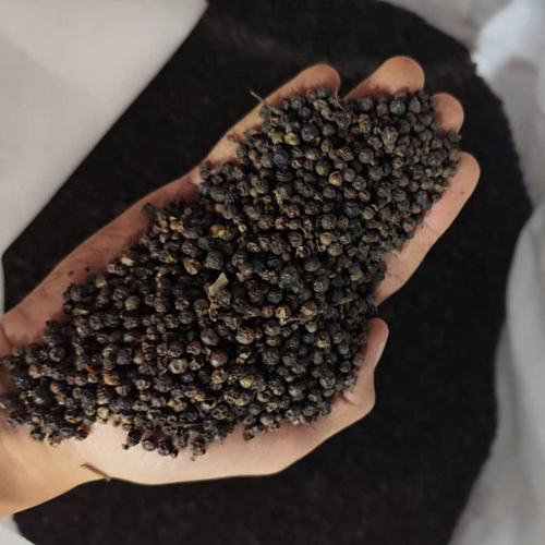 Black pepper 500gl/550gl/ 570gl/ 580gl/5mm