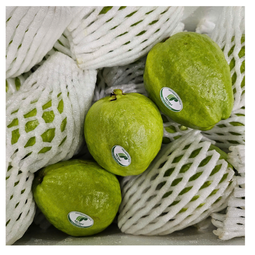 Guava