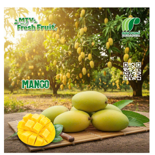 Mango