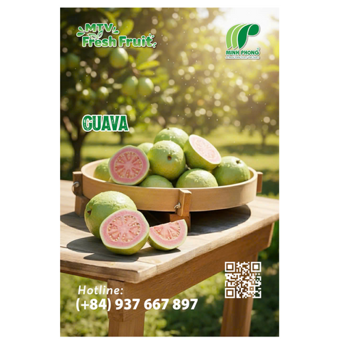 Guava