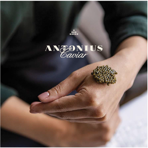 Basic Information Brochure