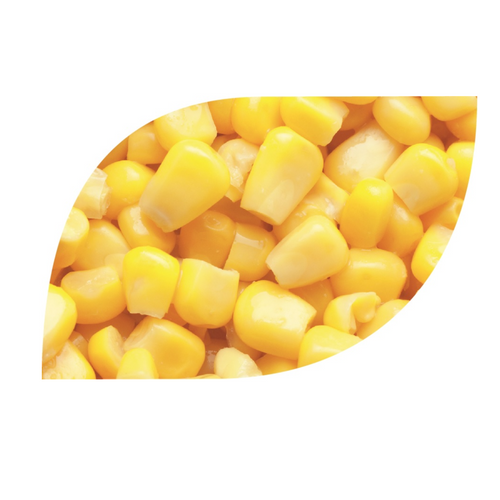 IQF super sweet corn kernels