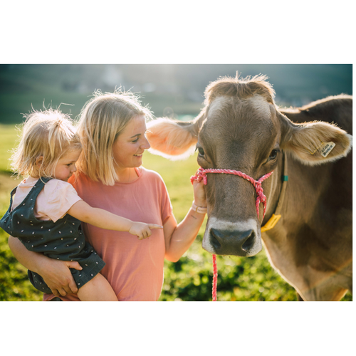 Bimbosan Infant Formula Stage 1-4