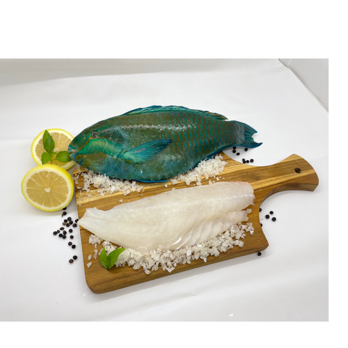 Fresh / Frozen Parrot Fish, WR / Fillet