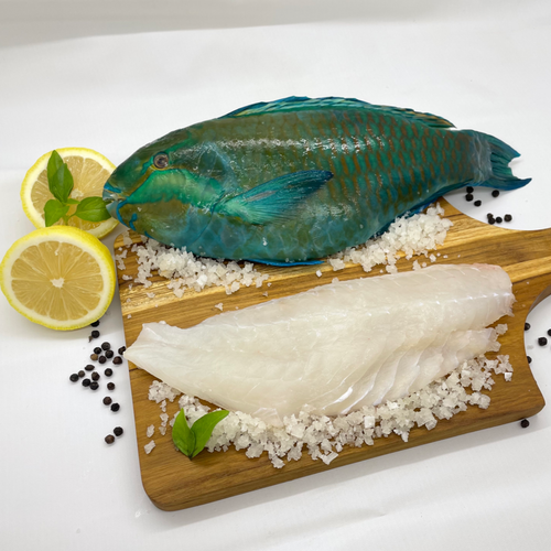 Fresh / Frozen Parrot Fish, WR / Fillet