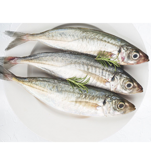 Frozen Japanese Jack Mackerel