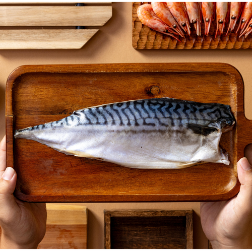 Mackerel / King Fish