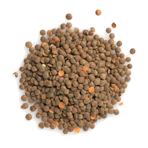 Red Lentils