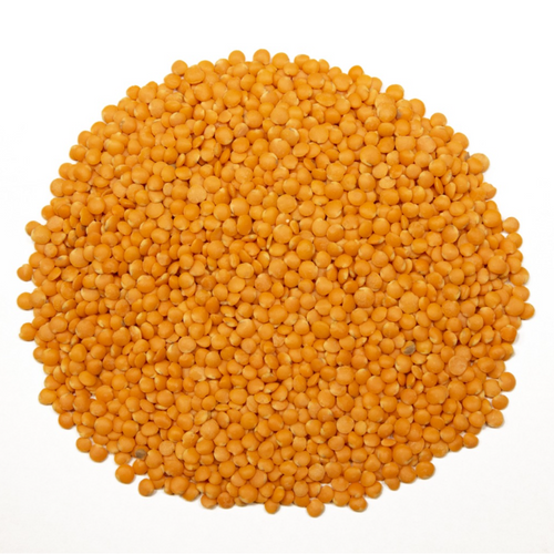 Red Lentils