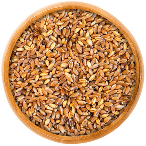 Durum Wheat