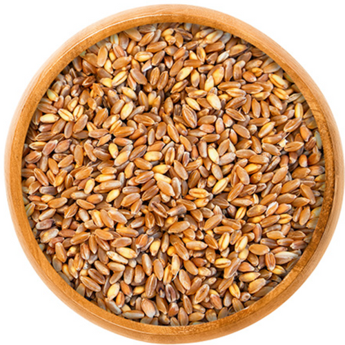 Durum Wheat