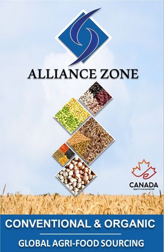 Alliance Zone Canada - Brochure