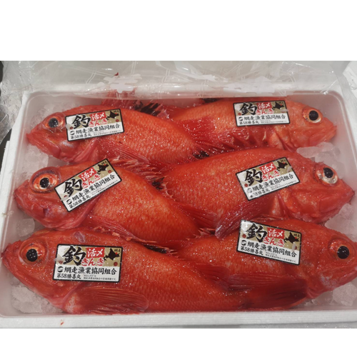 Broadbanded thornyhead