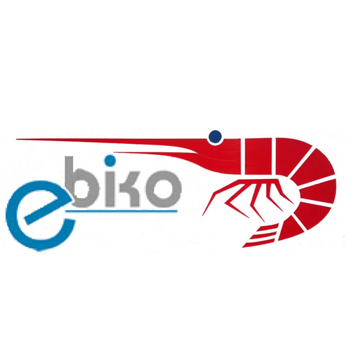 Ebiko