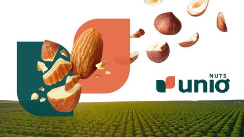 Introducing Unio Nuts