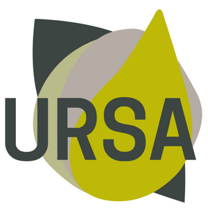 Group Ursa