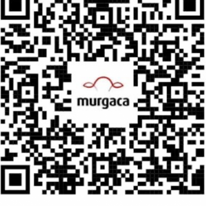 Murgaca