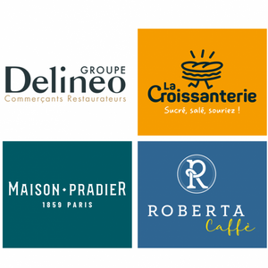 DELINEO GROUP INTERNATIONAL