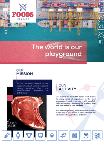 FOODS COMPANY PRESENTATION