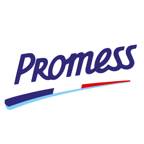 PROMESS