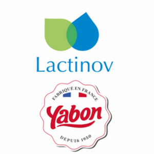 Lactinov - Yabon