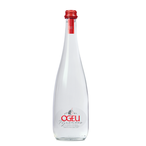 CARBONATED NATURAL MINERAL WATER - GLASS BOTTLE 75CL