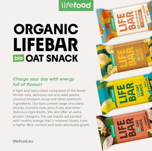 Lifebar Oat Snack