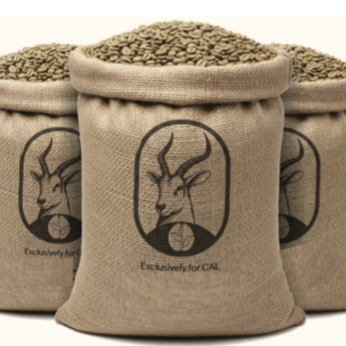 Ugandan Robusta Screen 18