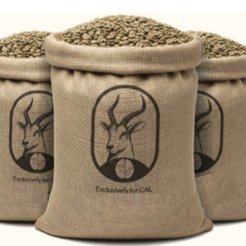 Ugandan Robusta Screen 18