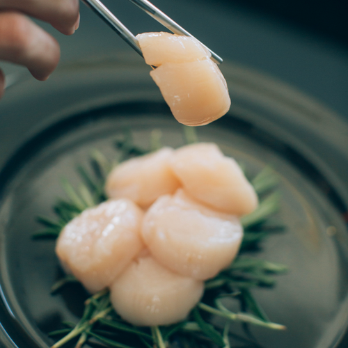 Japanese Hokkaido Scallops  (Patinopecten yessoensis)